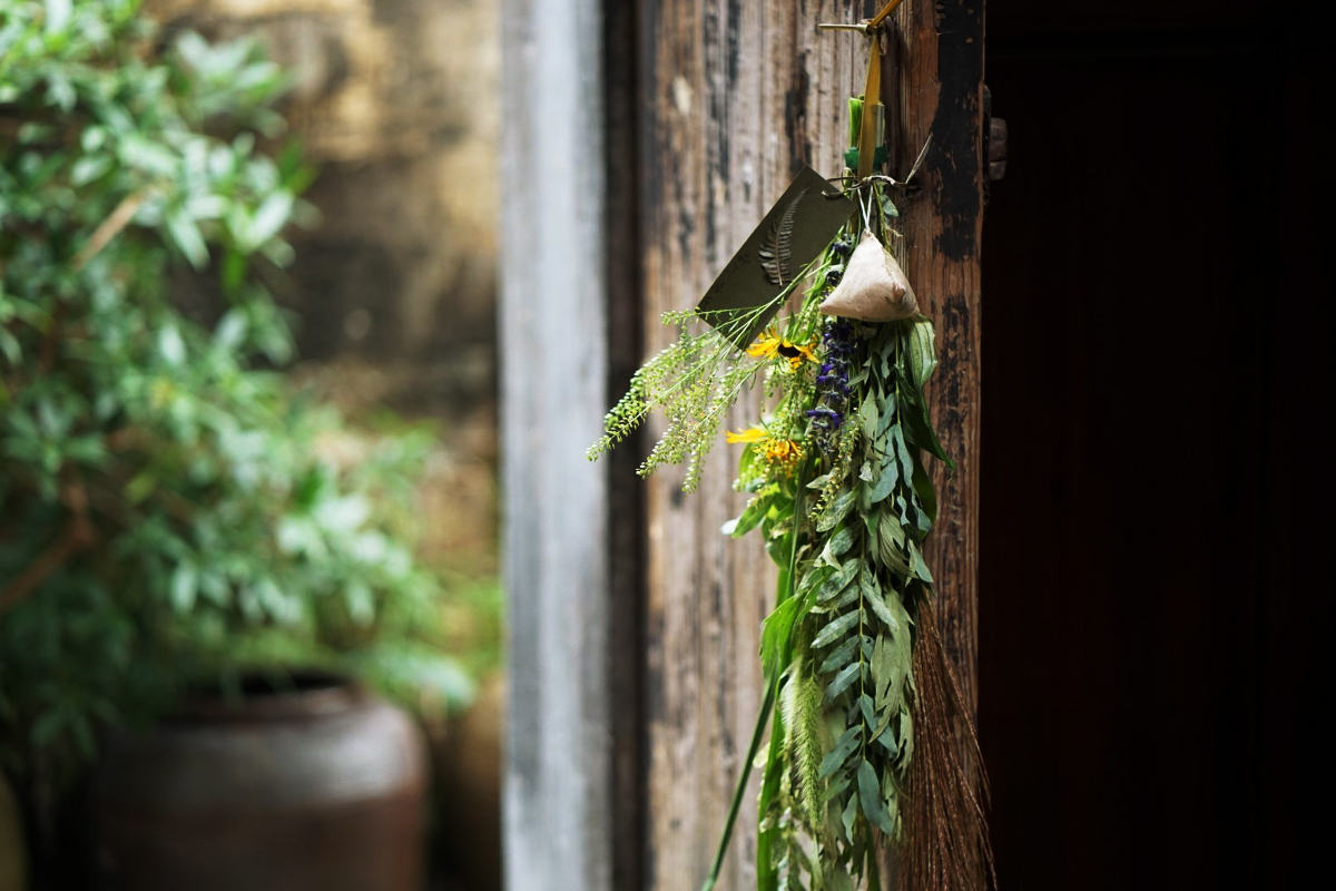 端午節(jié)采摘艾草、掛艾草習俗